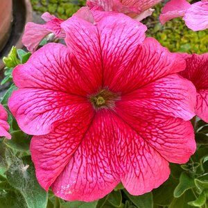 Welcome to my closet!